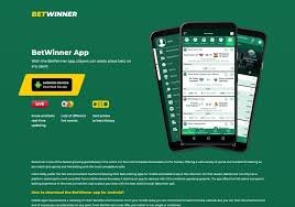 Todo lo que necesitas saber sobre betwinner apuestas 7 Todo lo que necesitas saber sobre betwinner apuestas 7