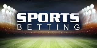 Everything You Need to Know About bet24 2 Everything You Need to Know About bet24 2